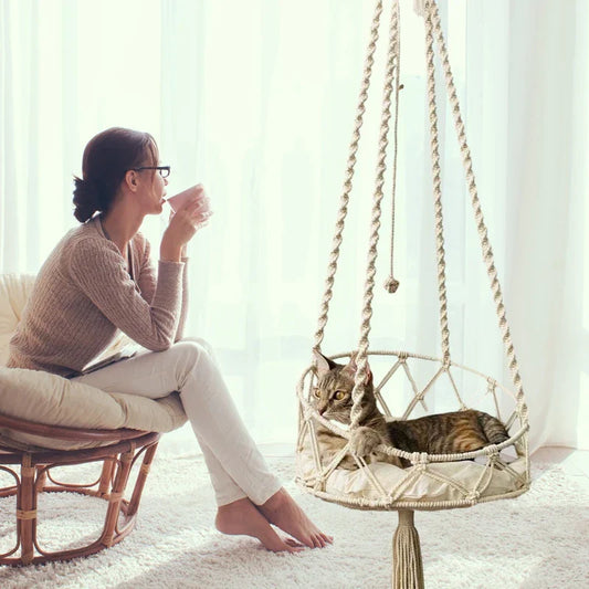 How Your Cat’s Happiness Affects Yours – And Why Spoiling Them with Quality Products Matters